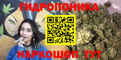 spice Бузулук