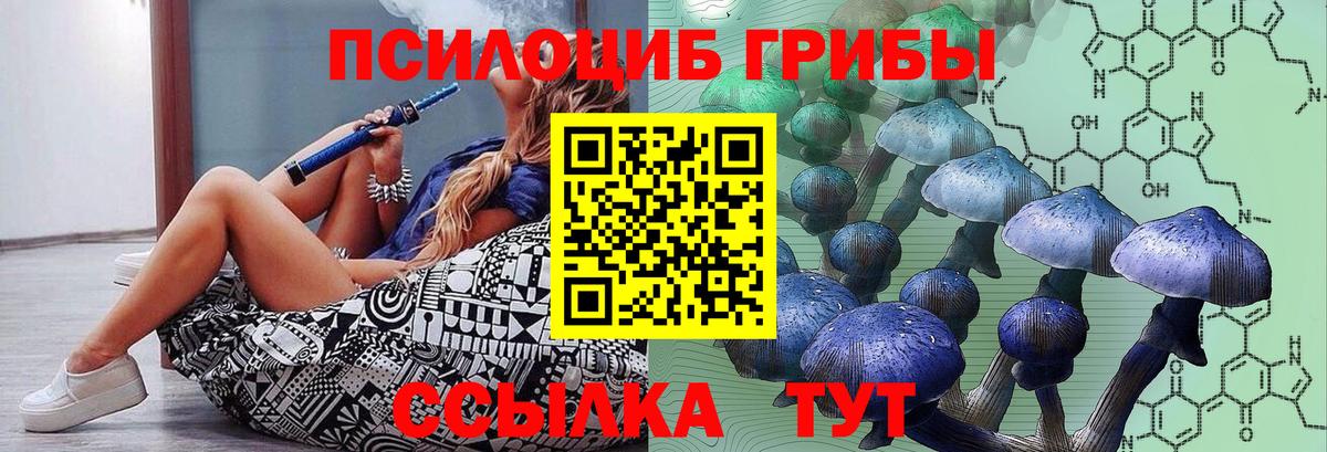 A-PVP Партизанск
