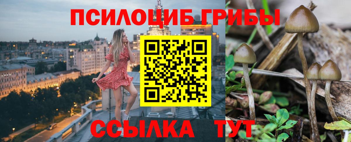 Псилоцибиновые грибы Cubensis  Вход с VPN  Партизанск 