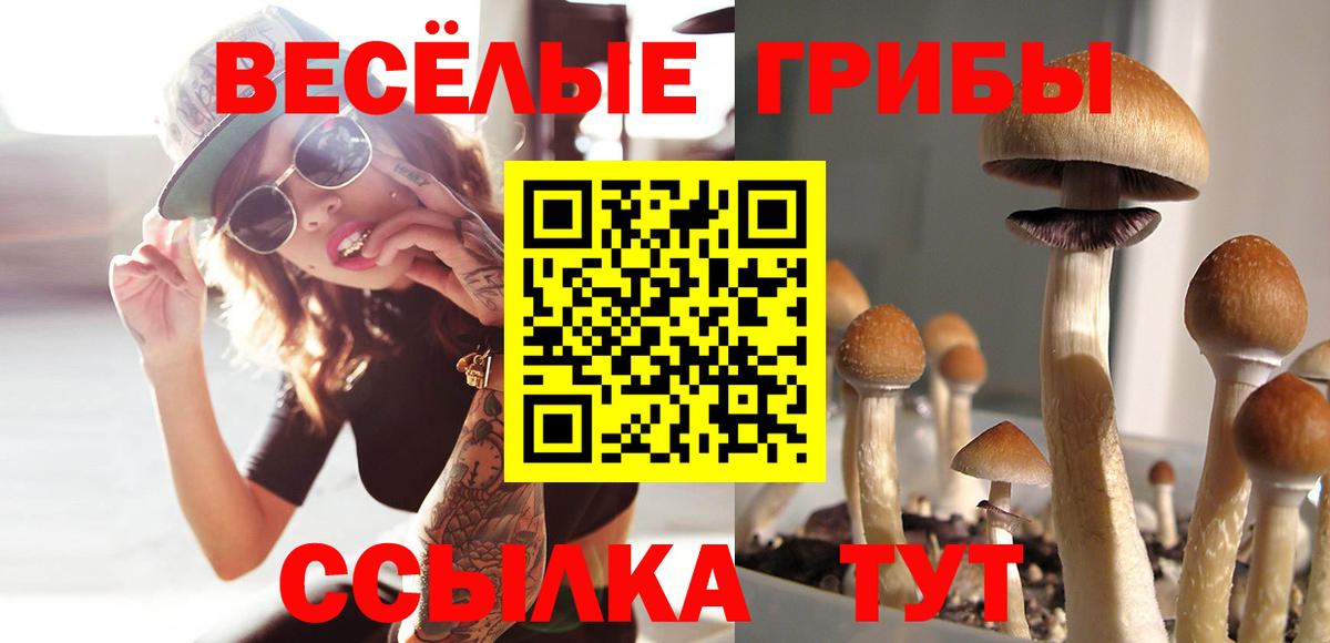 Гашиш  Партизанск  Экстази  МЕФ   МЕФ  Канабис  COCAIN  Вход с VPN  MDMA 